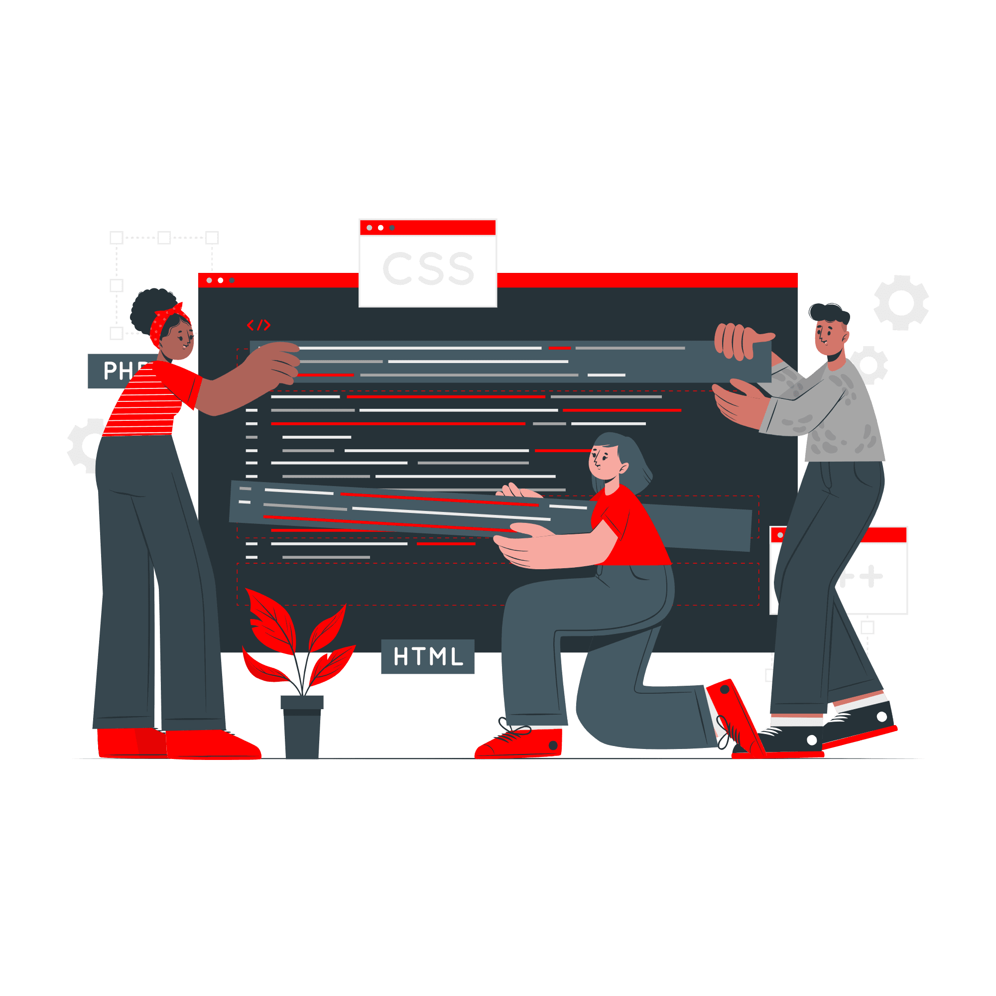 Custom Website Development Company