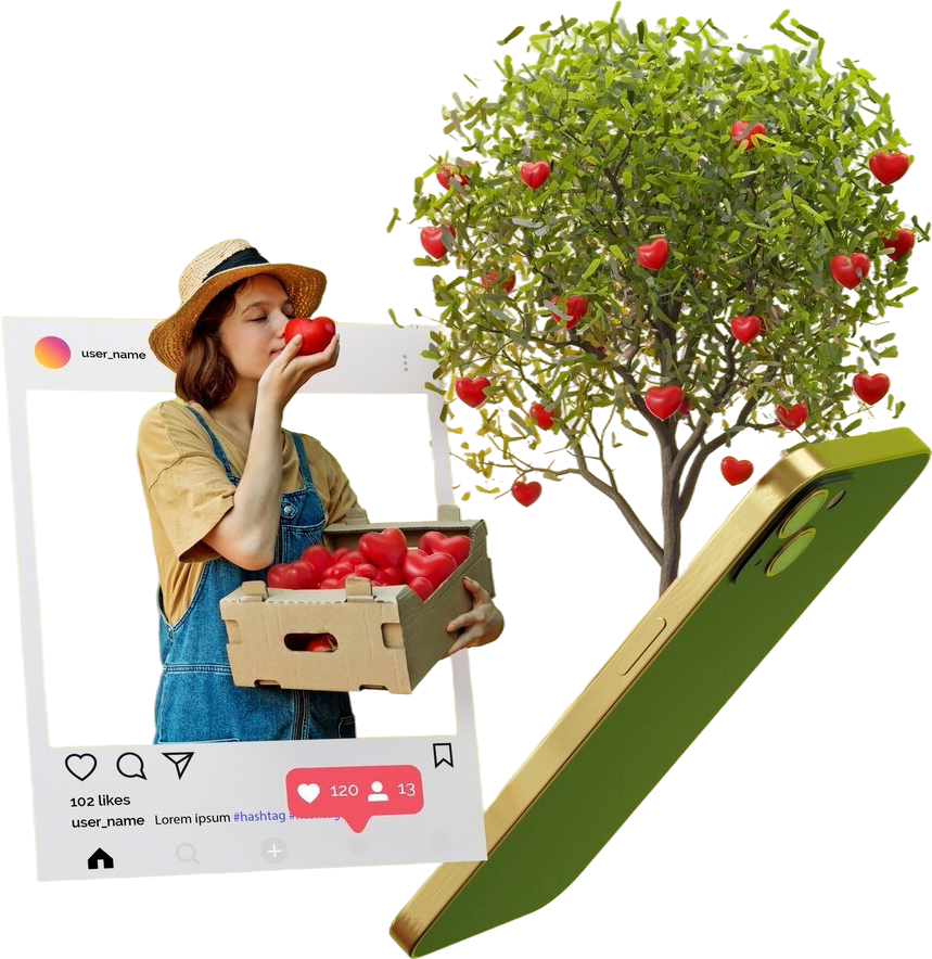 Instagram Marketing & Management Company