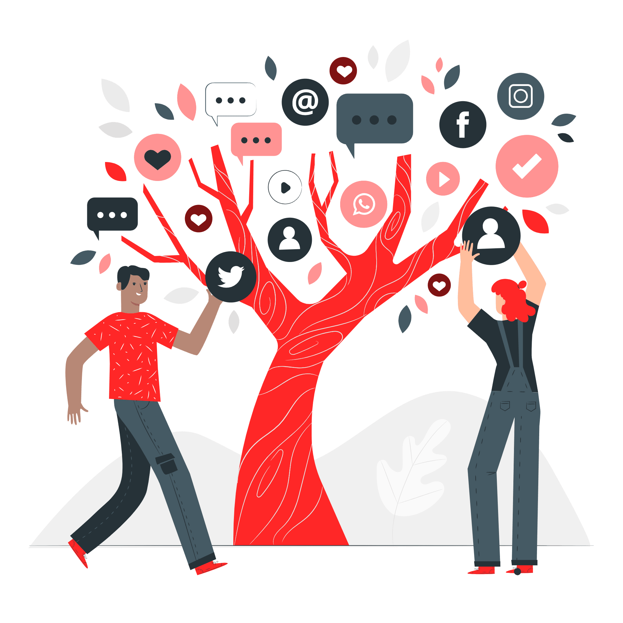 Social Media Management