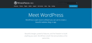 Wordpress SEO