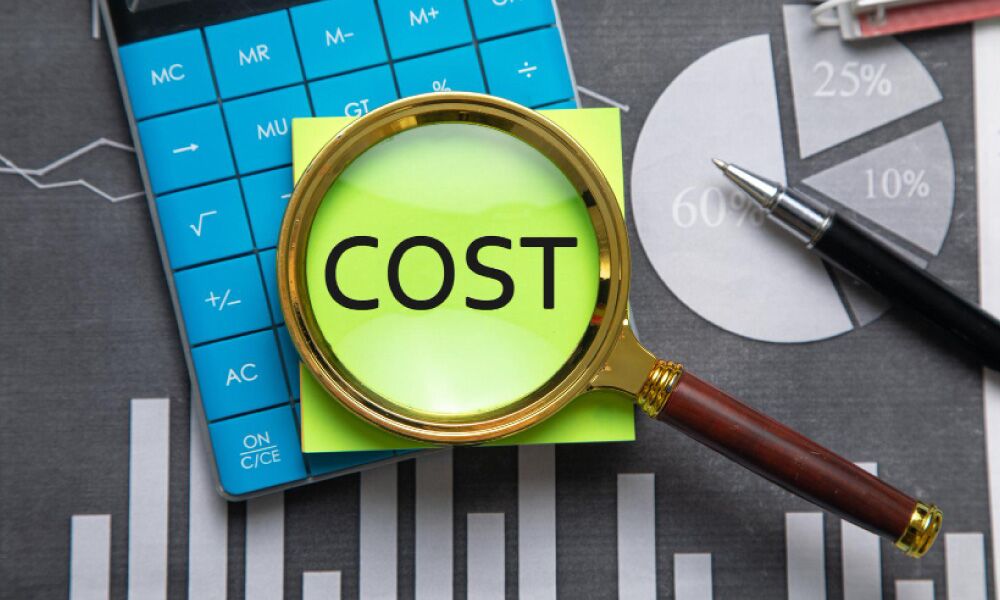 Website development cost