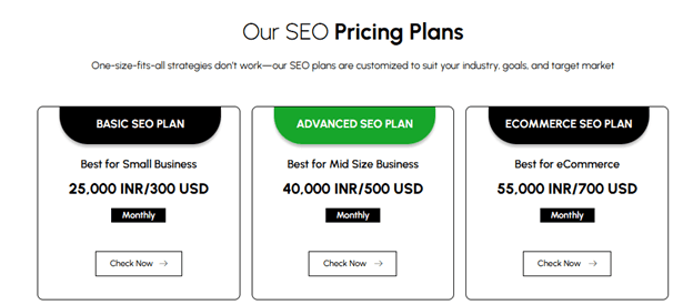 SEO pricing plan